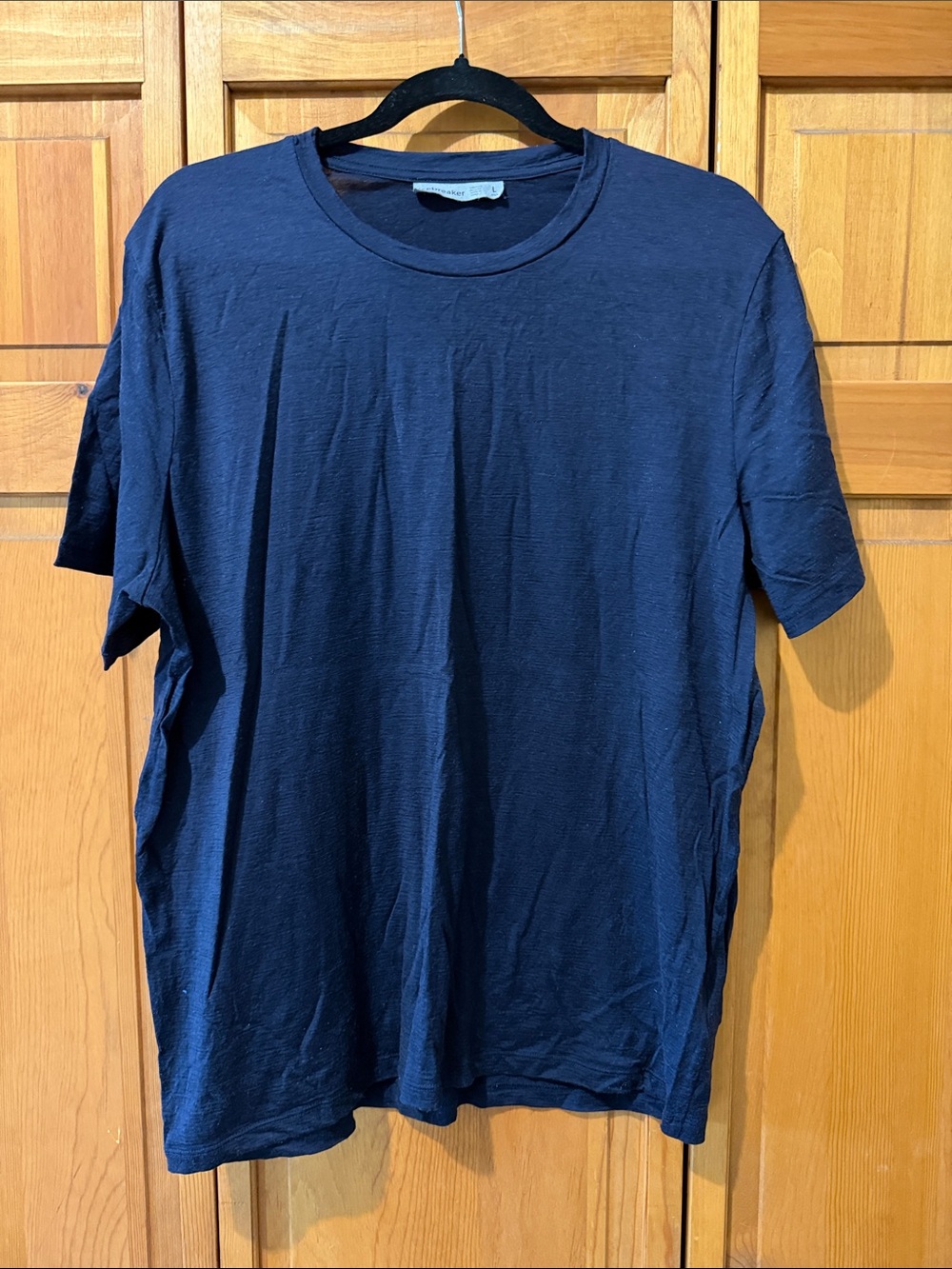 Icebreaker Men’s 100% Merino Wool T-Shirt Blue